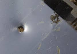 Image result for mh17 30mm bullet holes